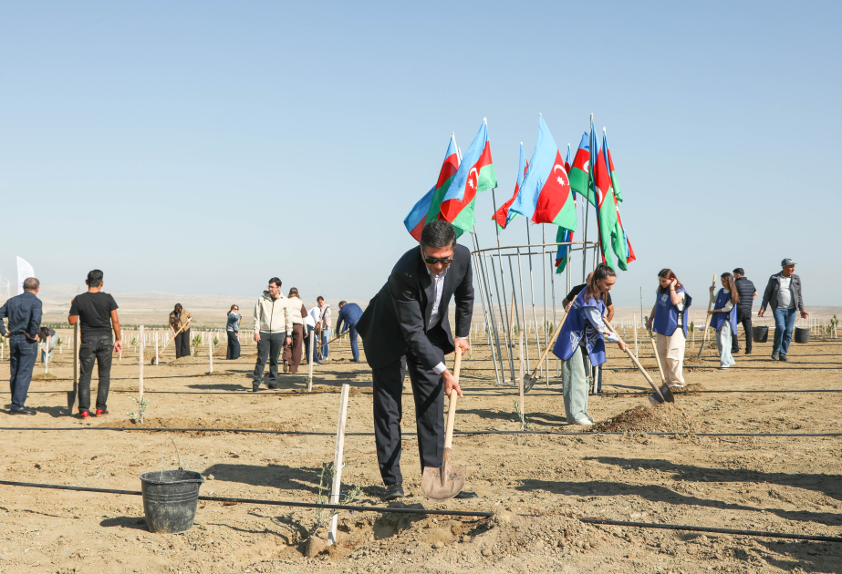 MIDA realiza una campaña de plantación de árboles dedicada al Día del Recuerdo