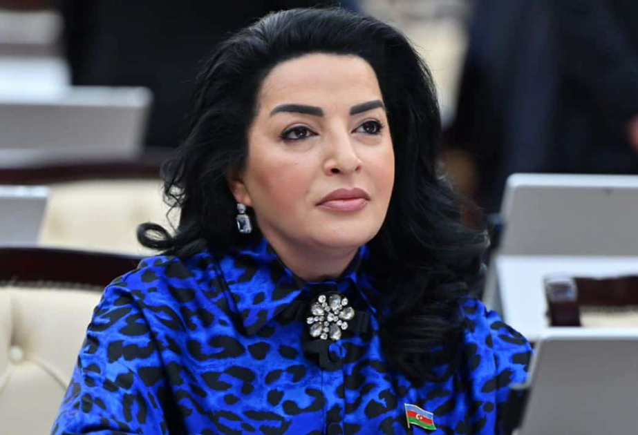 Azərbaycan xalqının iradəsi və milli birliyi sarsılmazdır  ŞƏRH