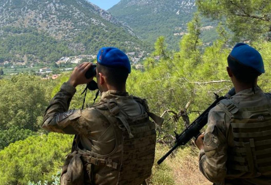 Сотрудникам жандармерии Турции за шесть месяцев сдались 18 террористов