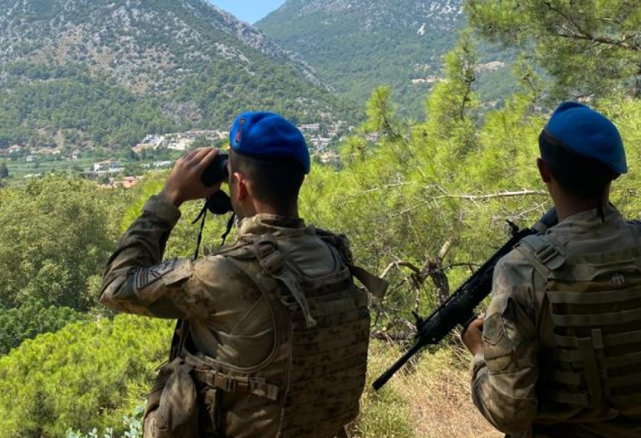 Altı ayda 18 terrorçu Türkiyə jandarma əməkdaşlarına təslim olub