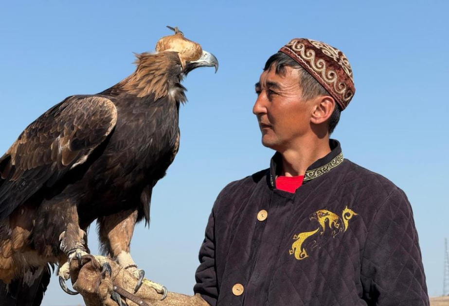 Международный турнир по охоте с ловчими птицами под Астаной