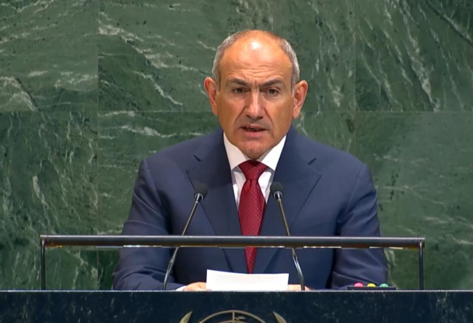 帕希尼扬：我很高兴地向国际社会宣布，亚美尼亚和阿塞拜疆间已建立和平