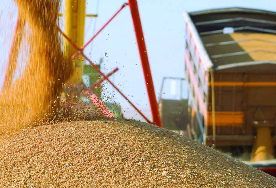 Казахстан за 25 дней сентября вдвое увеличил поставки зерна в Азербайджан