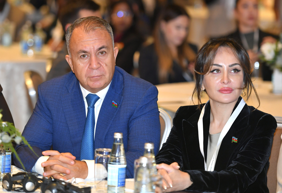 Sadiq Qurbanov: Məqsədimiz həm ekoloji dayanıqlığın təmin olunması, həm də enerji resurslarının səmərəli istifadəsidir