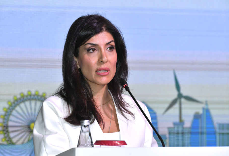 COP29-un yüksəksəviyyəli çempionu: Özəl sektor iqlim dəyişikliyi ilə mübarizədə vacib tərəfdaşdır