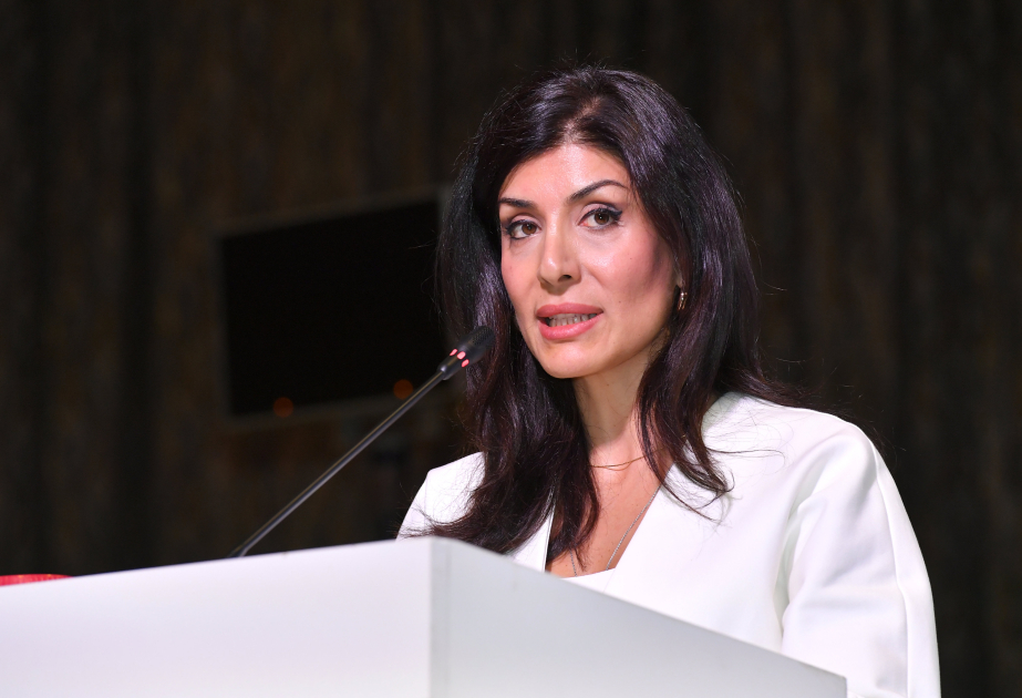 We must achieve goals of Climate Agenda via efficiency and progress, says COP29 High-Level Champion