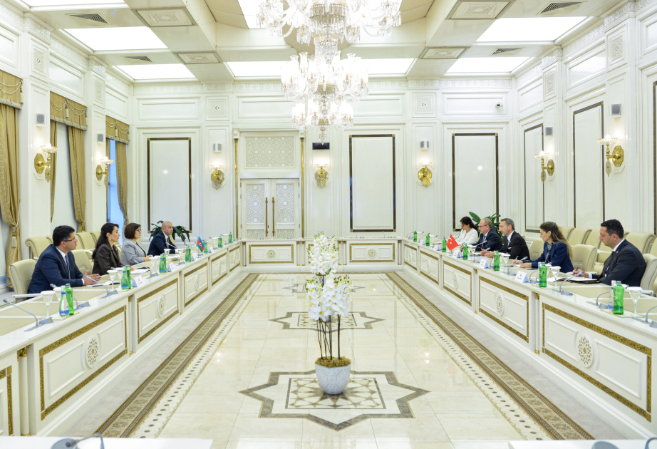Azerbaijan, Türkiye explore prospects for cooperation in the field of human rights