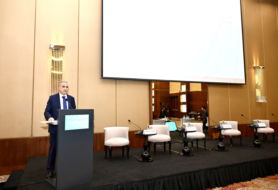 法里德·沙菲耶夫：突厥国家组织峰会全力致力于该地区的和平与合作