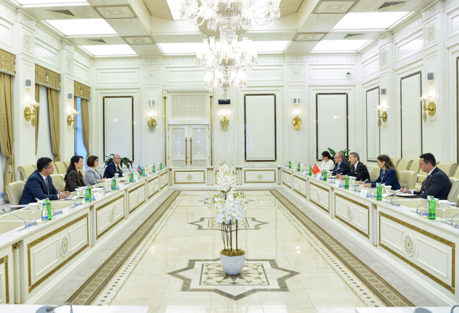 讨论加强阿塞拜疆和土耳其在人权领域的合作