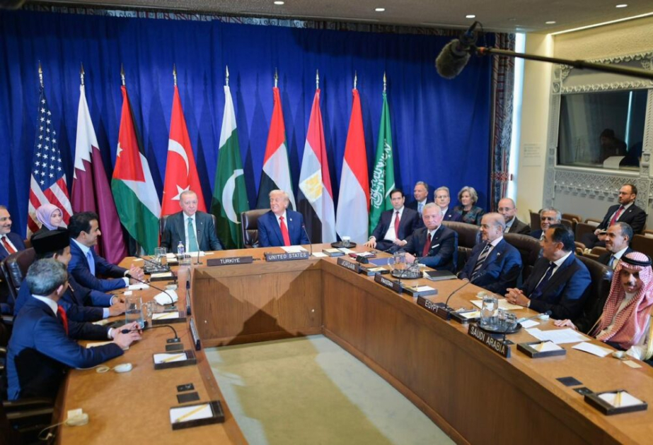 Foreign Ministers of Jordan, UAE, Indonesia, Pakistan, Türkiye, Saudi Arabia, Qatar, and Egypt issue joint statement