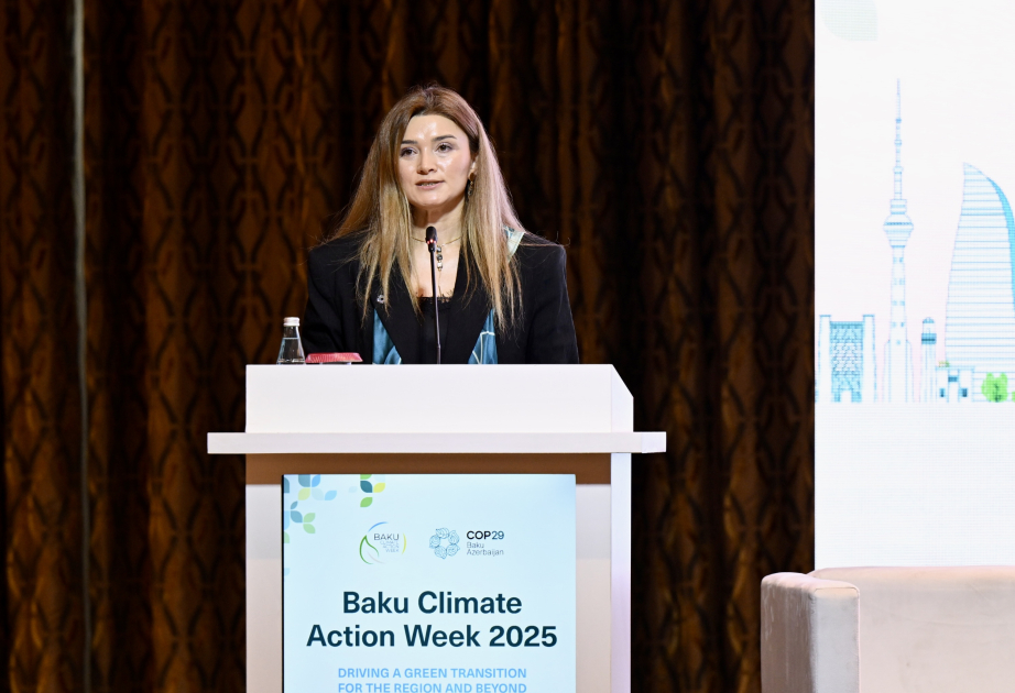 Nərmin Carçalova: COP29 həm də davamlı qlobal enerji modeli kimi təşkil edilib