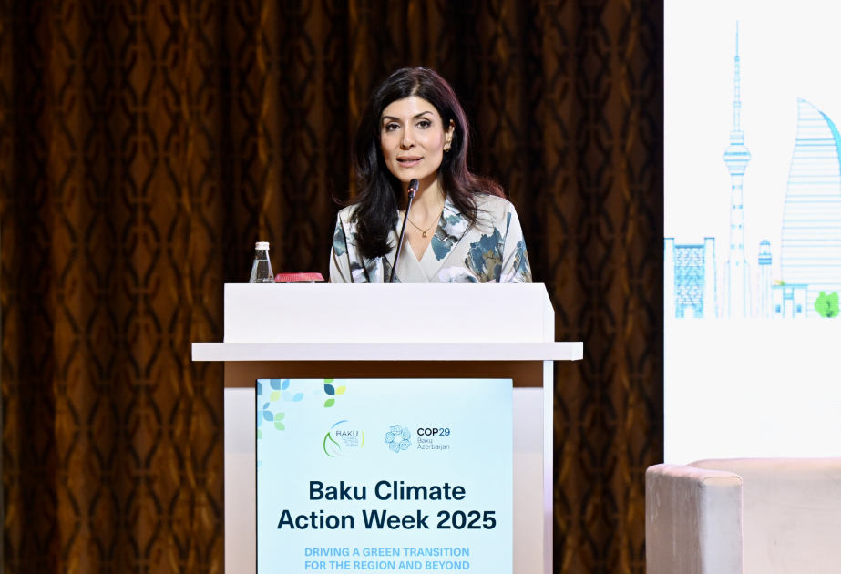 Nigar Arpadarai: Corporate sustainability has become a main driving force of global economy