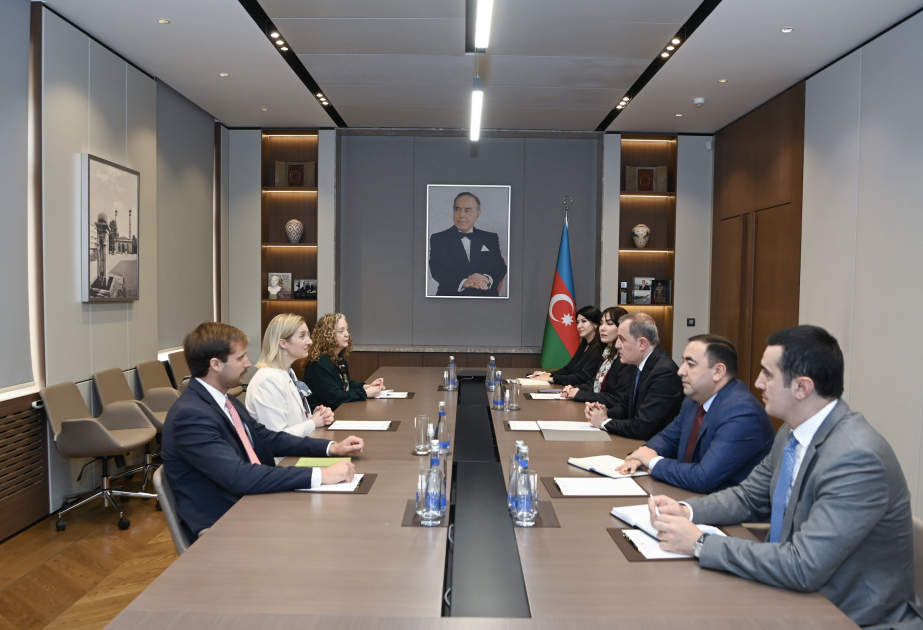 Se examinan las relaciones Azerbaiyán-EE. UU. y asuntos de seguridad regional