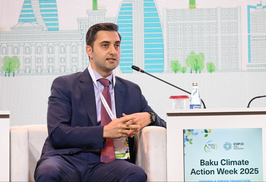 Baş direktor: Enerji keçidi üçün əsas çağırışlardan biri şəbəkənin optimallaşdırılmasıdır