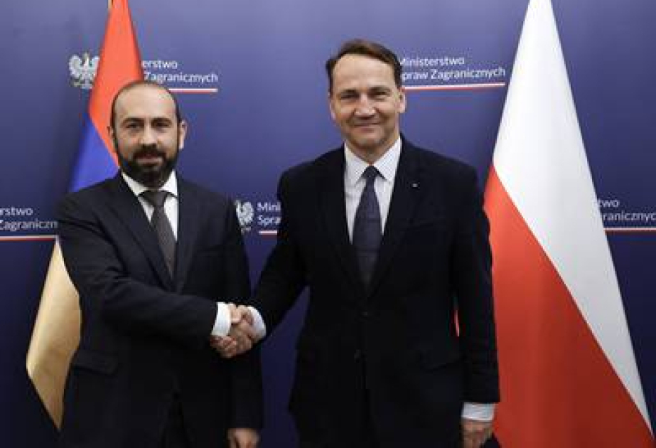 Ararat Mirzoyan polşalı həmkarını regiondakı vəziyyət barədə məlumatlandırıb