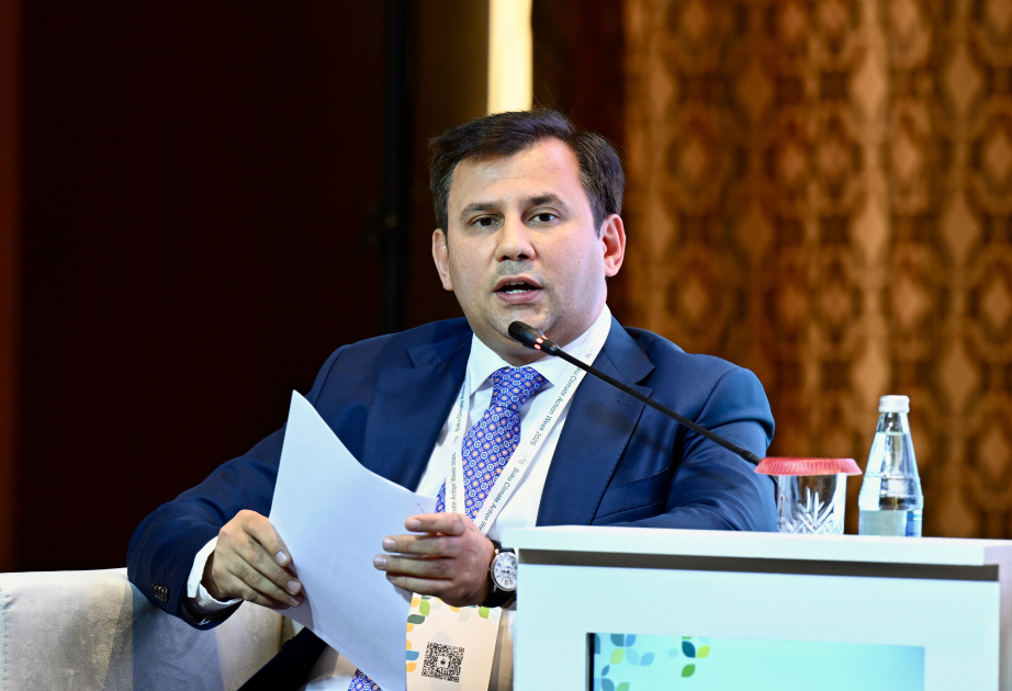 RİNN: Azərbaycanın nəqliyyat sektoru transformasiya olunur