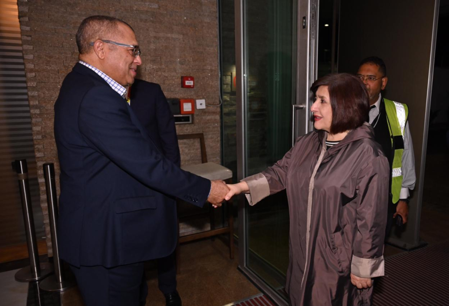 阿塞拜疆议会代表团赴南非进行工作访问