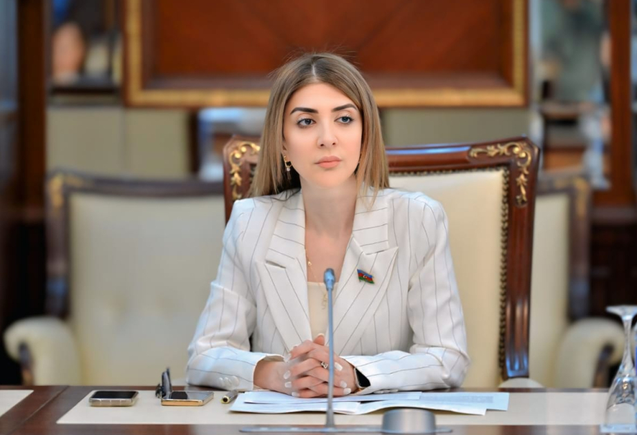 Azərbaycan-İtaliya münasibətləri strateji tərəfdaşlıq müstəvisində inkişaf edir-  ŞƏRH
