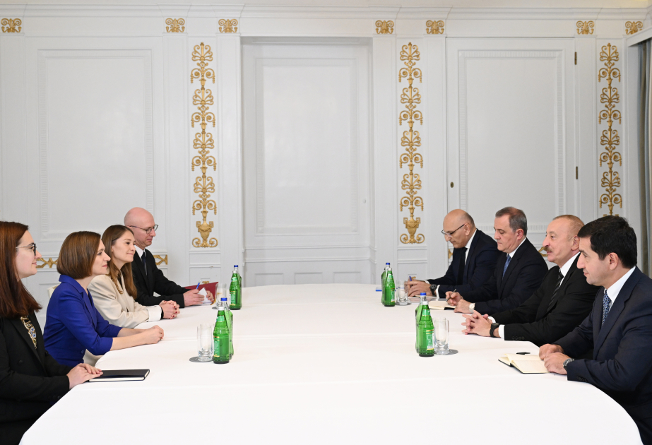 President of Azerbaijan Ilham Aliyev met with President of Moldova in Copenhagen VIDEO