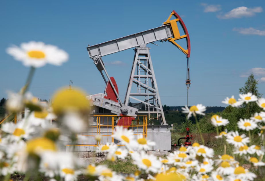 Цены на нефть на мировых биржах выросли