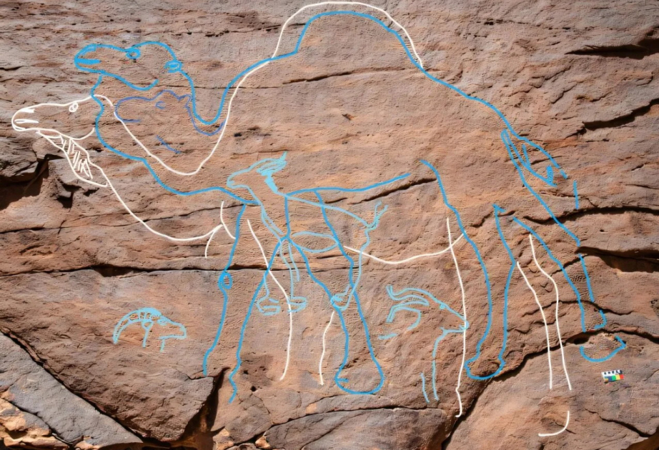 Life-size rock art points the way to oldest human inhabitants of Saudi Arabia — and the desert oases they used