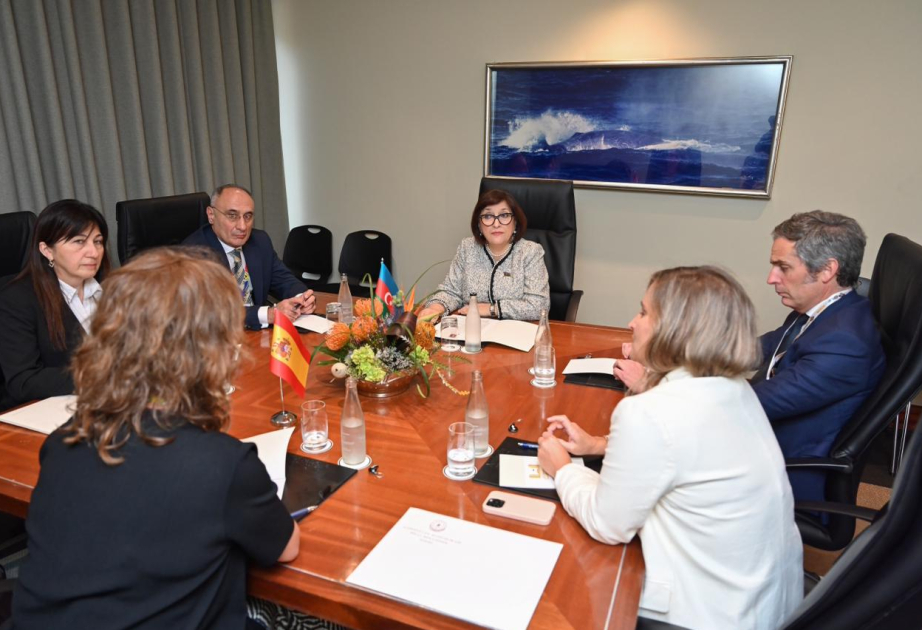 Speaker of Spanish parliament informed about peace process between Azerbaijan and Armenia