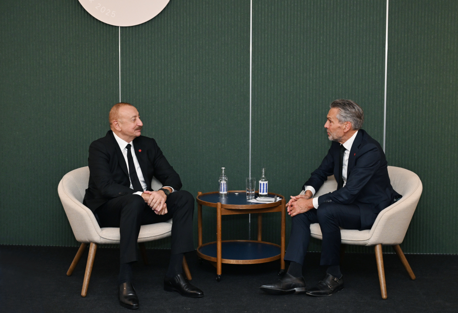 President of Azerbaijan Ilham Aliyev met with Prime Minister of the Netherlands in Copenhagen VIDEO