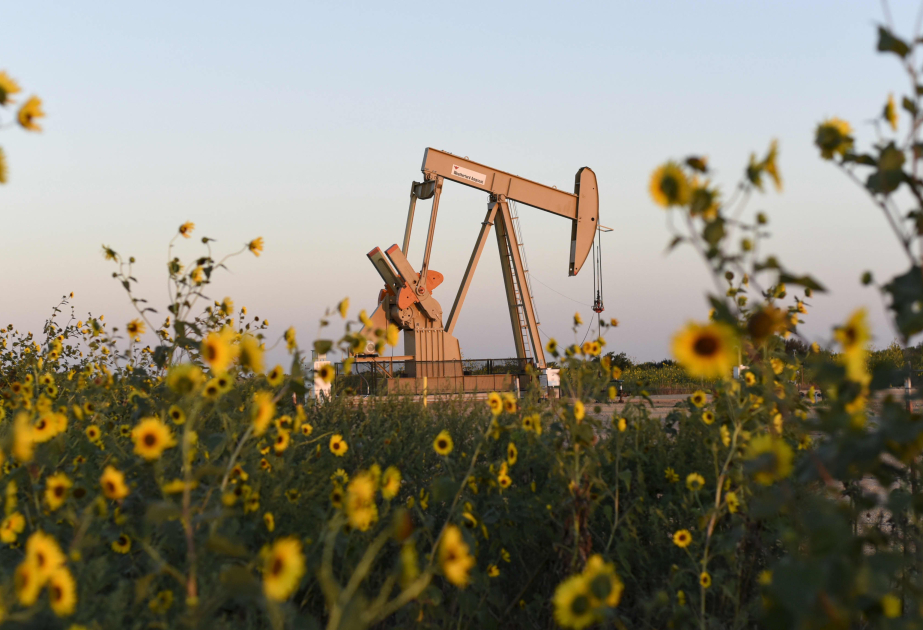 На мировых биржах цена нефти повысилась