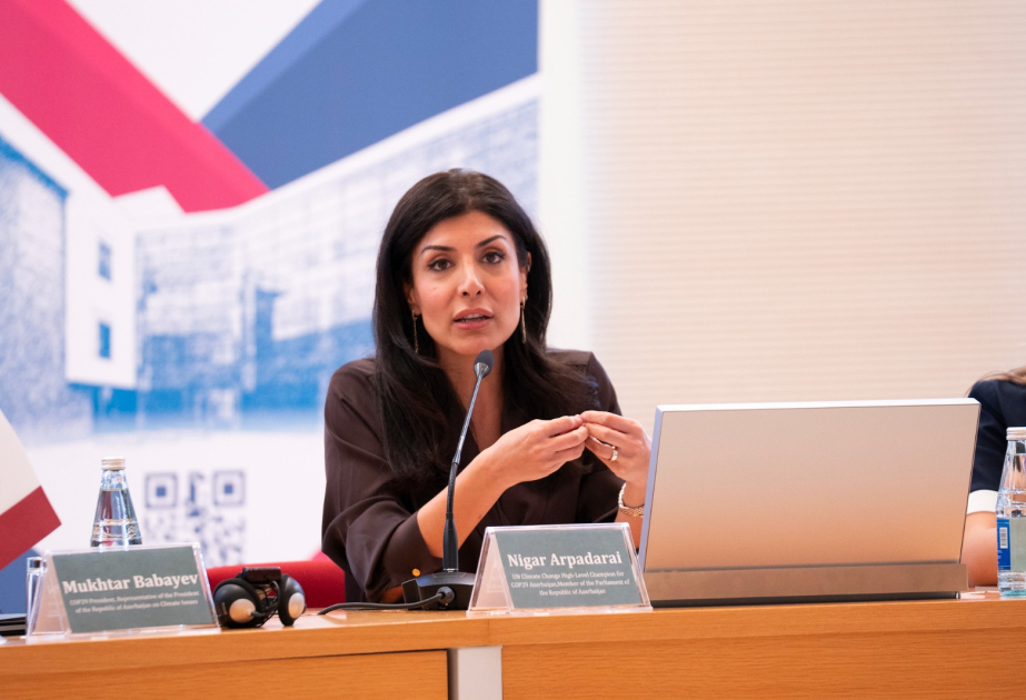Nigar Arpadarai: İqlim çağırışlarına cavab üçün təhsil sistemi gənclərə yeni bacarıqlar aşılamağa hazır olmalıdır