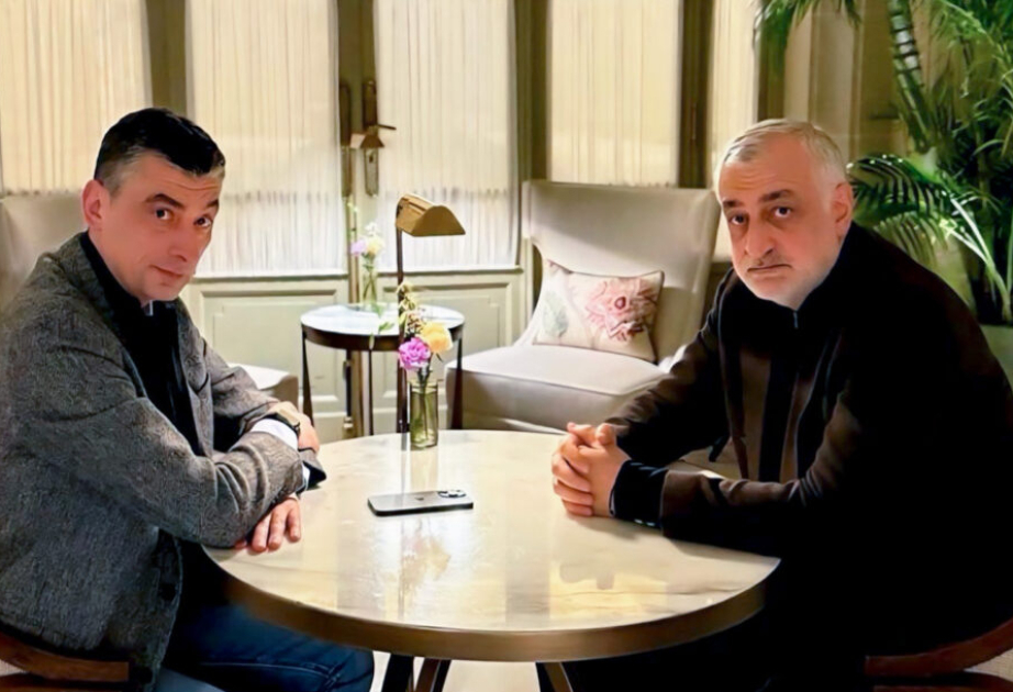 Gürcüstanda iki partiya maliyyə vəsaiti və efir vaxtından məhrum olub