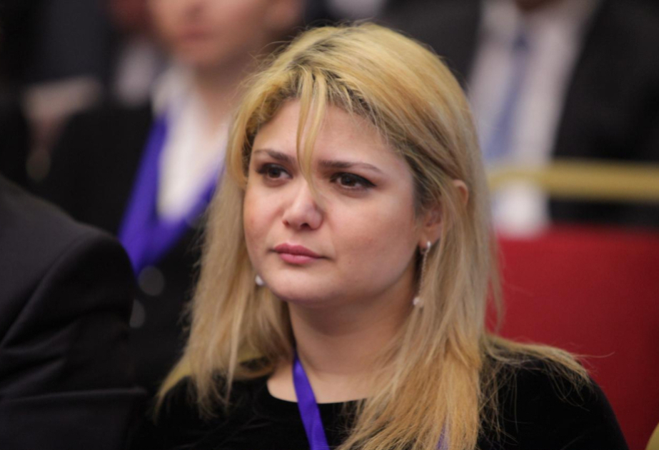 Ermənistan konstruktiv mövqe nümayiş etdirsə də, ev tapşırığının həyata keçirilməsində ləngiyir -  ŞƏRH