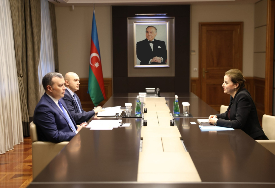 讨论阿塞拜疆和阿尔及利亚进一步深化合作的前景