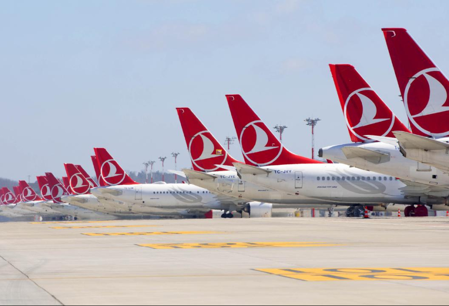 Парк самолетов Turkish Airlines к 2033 году достигнет 813 лайнеров