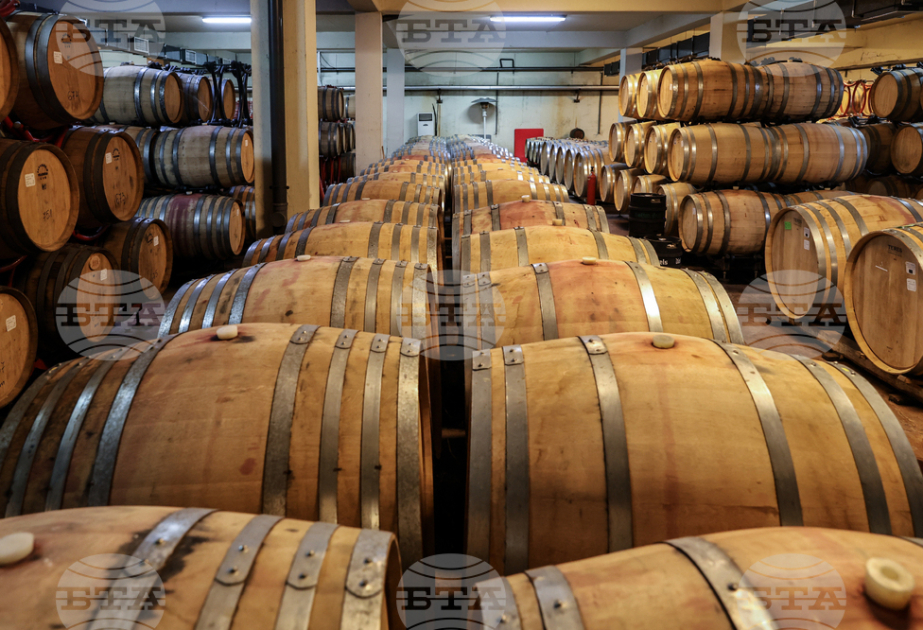 UN Tourism to open 9th Global Conference on Wine Tourism in Plovdiv