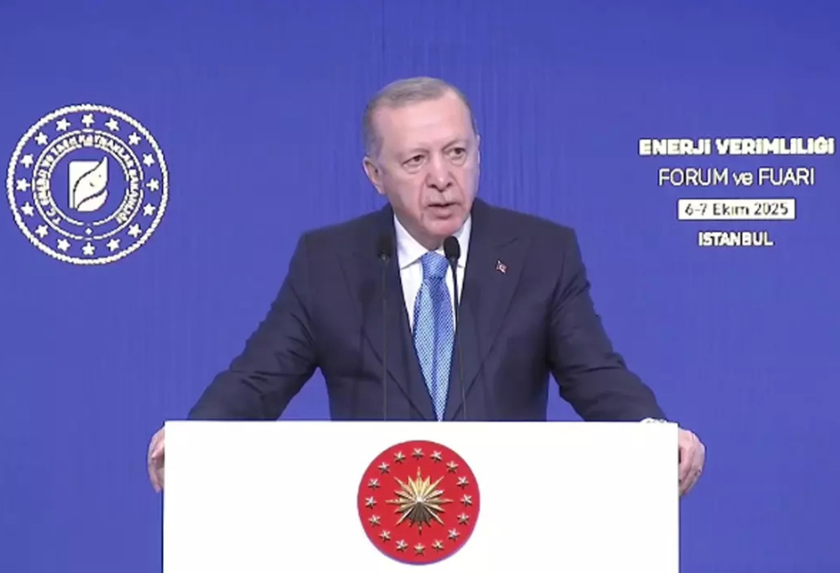 Ərdoğan: Bu ilin ilk səkkiz ayında enerji idxalına görə 26 milyard dollar ödəmişik
