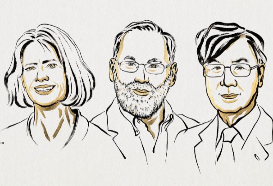 Nobelpreis für Medizin geht an drei Immunforscher