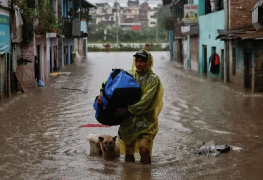 Death toll hits 51 in Nepal's rain-induced disasters
