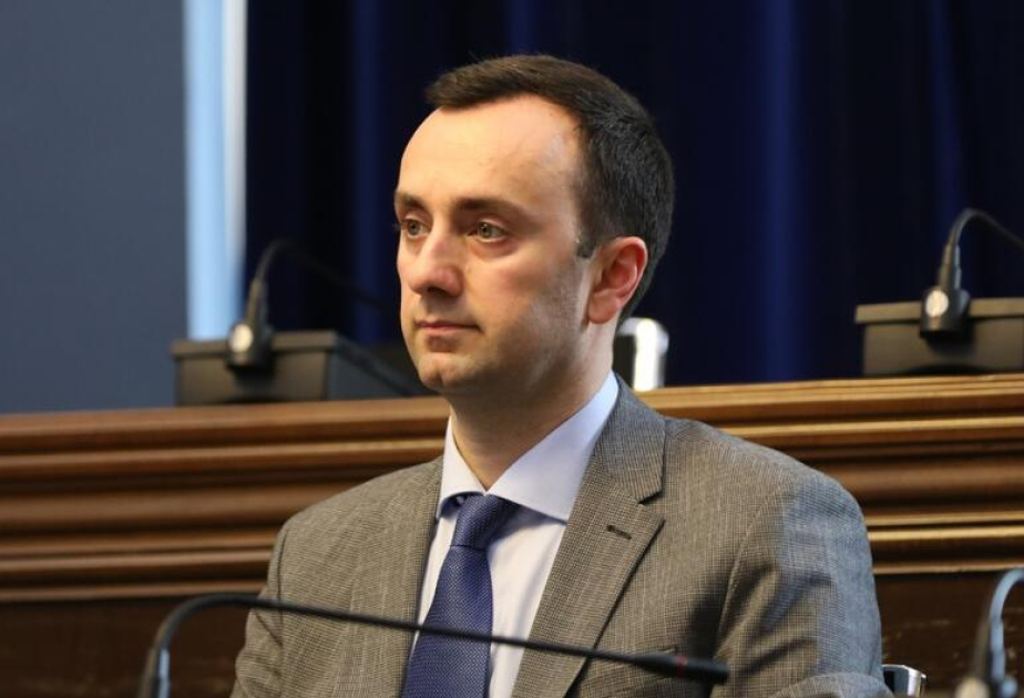 Deputat: Gürcüstan müxalifəti köklü dəyişikliklər etməsə, siyasi baxımdan məhv olacaq