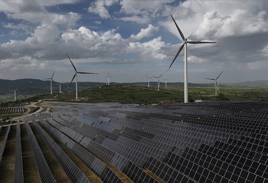 Renewables overtake coal for the first time in global electricity mix