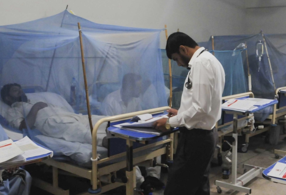 Dengue cases surge across Bangladesh as experts call for urgent action