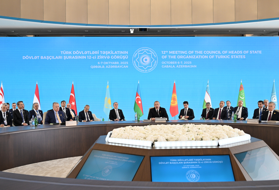 President: Azerbaijan and the OTS member states implemented numerous significant investment projects