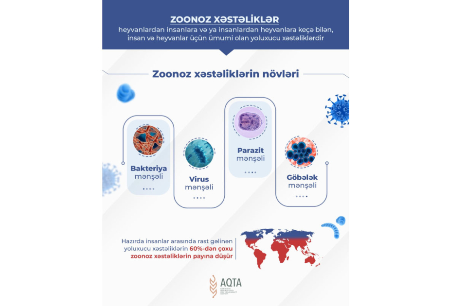 AQTA: Zoonoz xəstəliklərlə effektiv mübarizə yalnız “Vahid sağlamlıq” prinsipi əsasında mümkündür