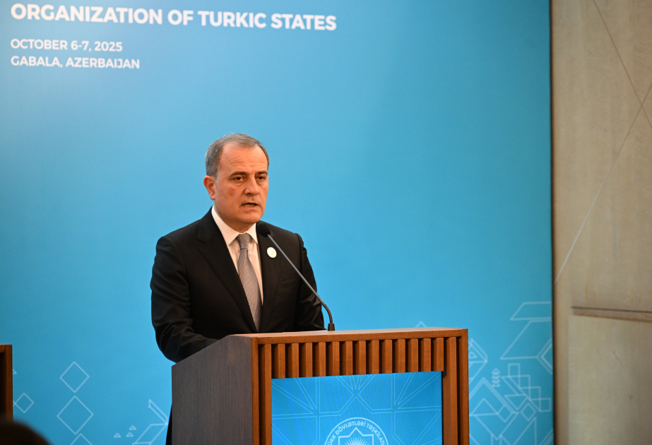 Azerbaijani FM: Economic cooperation defined as a key priority for OTS