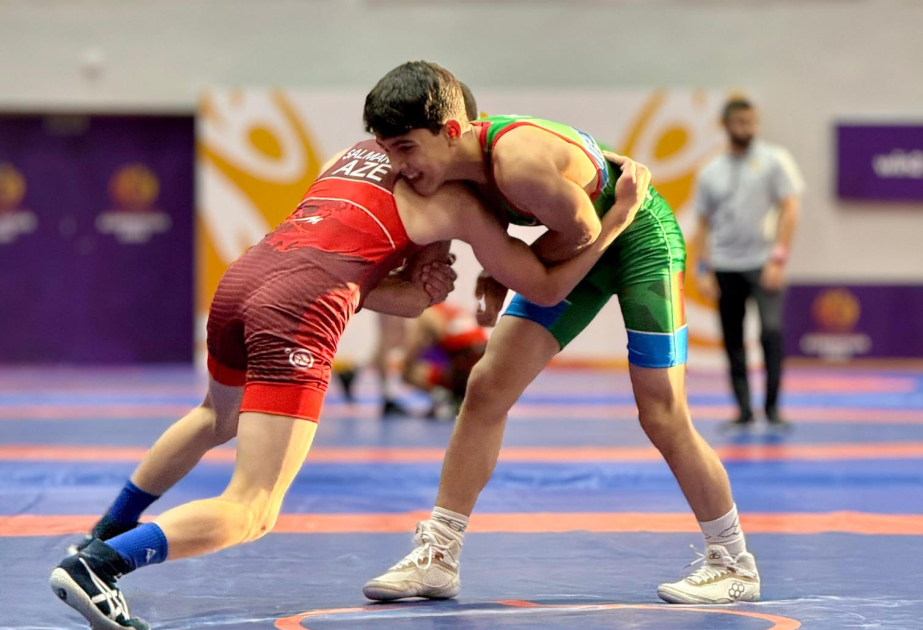 Jeux de la CEI/Lutte gréco-romaine: un athlète azerbaïdjanais remporte la médaille d’argent