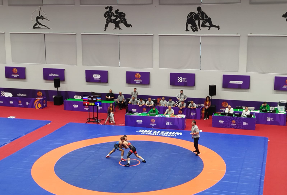 Another Azerbaijani wrestler takes gold at 3rd CIS Games