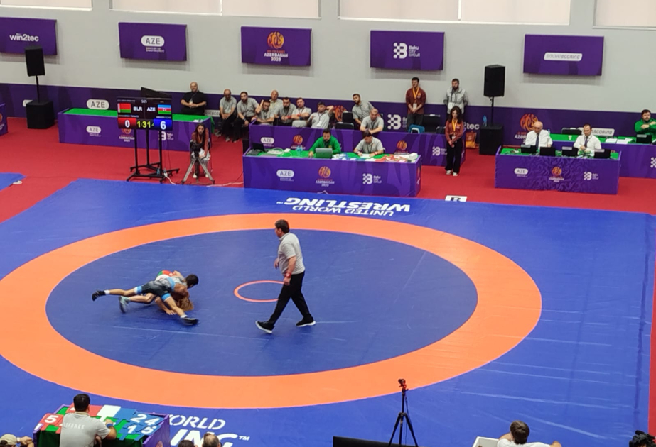 Aserbaidschanischer Ringer gewinnt Goldmedaille bei den 3. GUS-Spielen