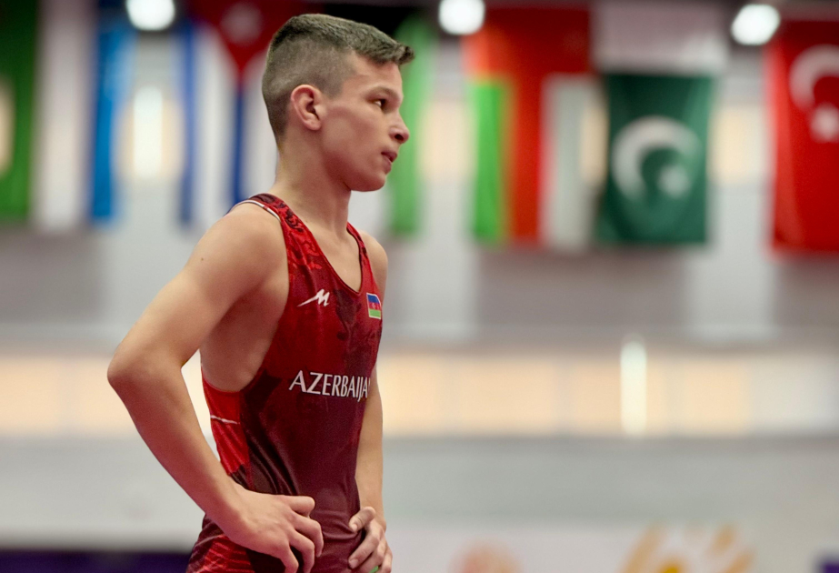 Azerbaijani Greco-Roman wrestlers conclude 3rd CIS Games with 6 medals