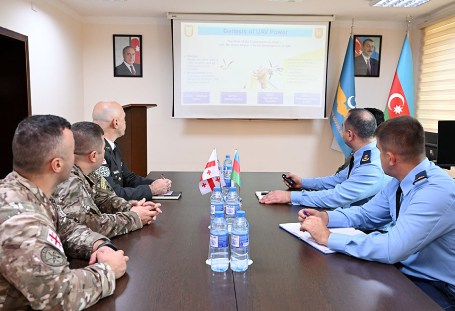 Azerbaijan, Georgia exchange experience in field of UAVs