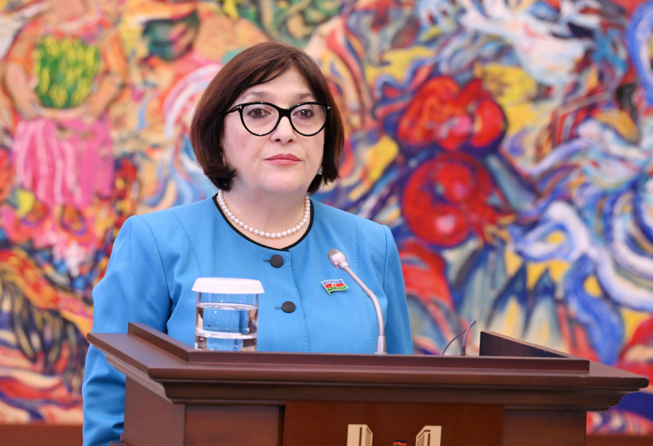 Milli Məclisin sədri: Ötən 30 ildə Xorvatiya ilə əlaqələr strateji tərəfdaşlıq səviyyəsinə yüksəlib VİDEO