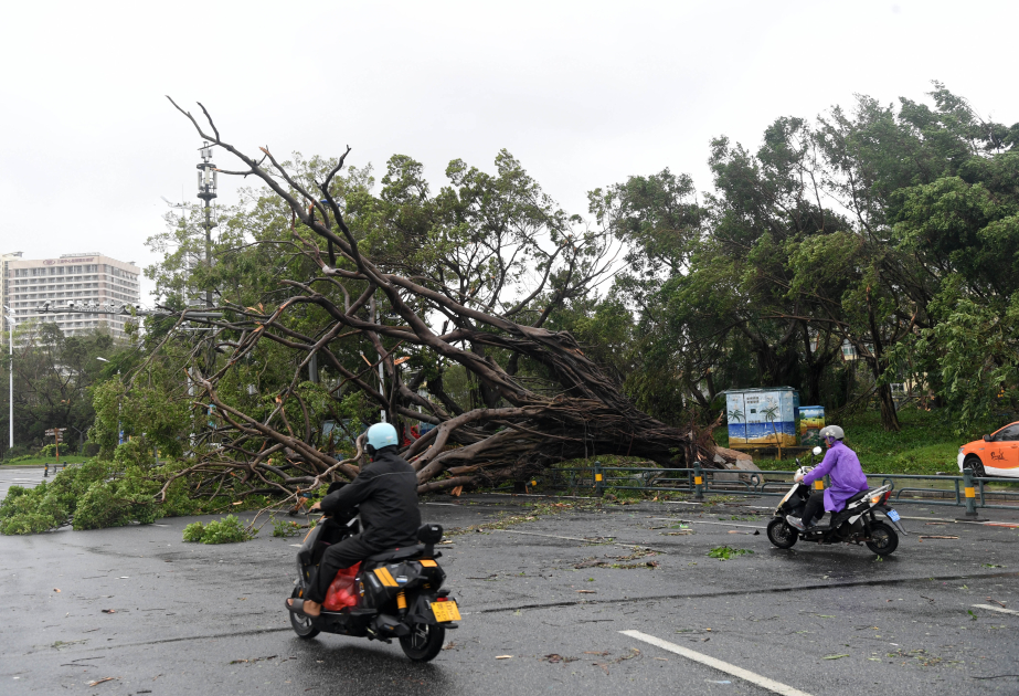 Typhoon Matmo leaves 8 dead in Vietnam